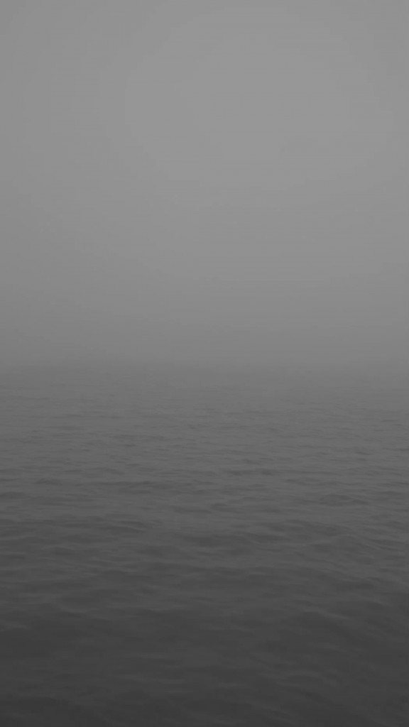 horizons portrait